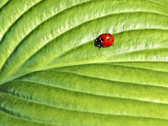 Similar image 21025942