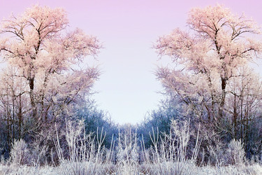 Similar image 21026182