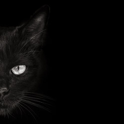 Similar image 21026187