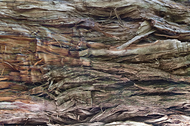 Similar image 21026242