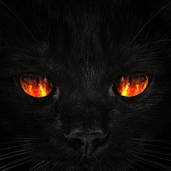 Similar image 21026246