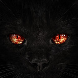 Similar image 21026248