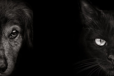 Similar image 21026340