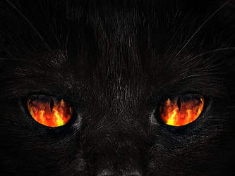 Similar image 21026341