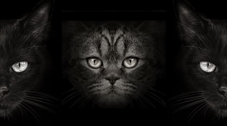 Similar image 21026345