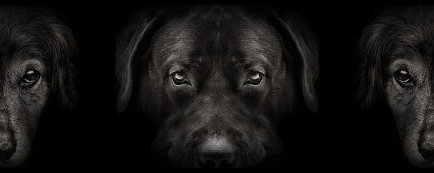 Similar image 21026423