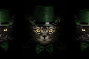 Similar image 21026424