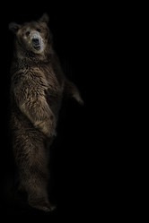 Similar image 21026437