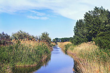 Similar image 21026454