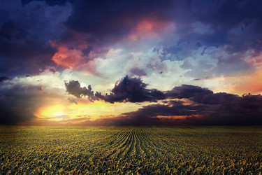 Similar image 21026577