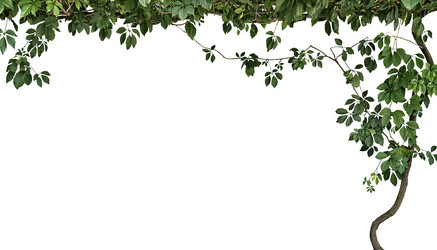 Similar image 21026612