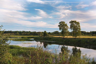 Similar image 21025951