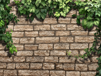 Similar image 21025962