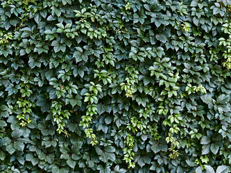 Similar image 21025971