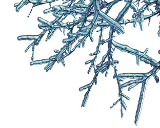 Similar image 21025984