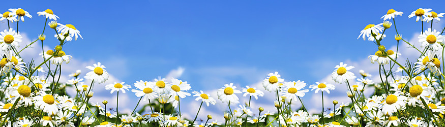 Similar image 21026190