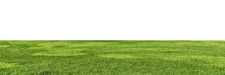 Similar image 21026361