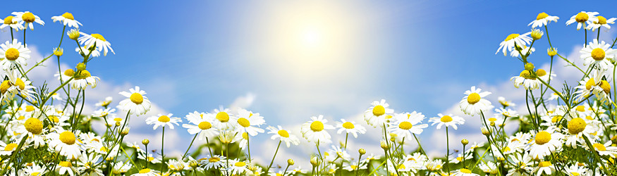 Similar image 21026367