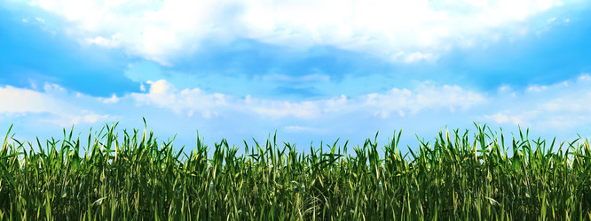 Similar image 21026473