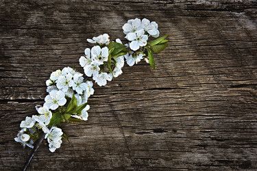 Similar image 21026474