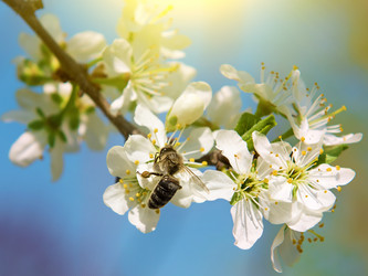 Similar image 21026476