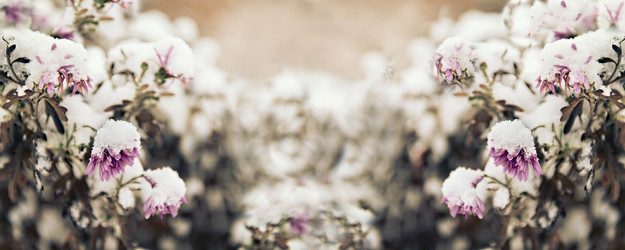 Similar image 21026477