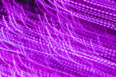 Similar image 21026488