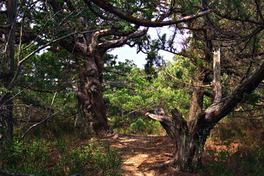 Similar image 21025990