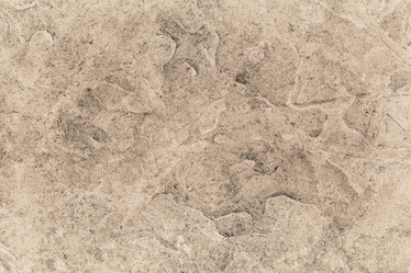 Similar image 21026001