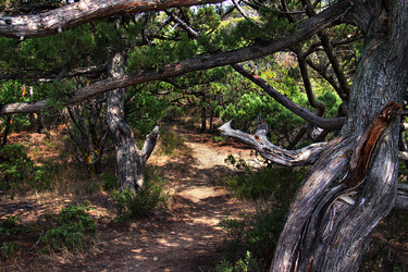 Similar image 21026002