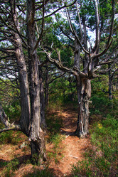 Similar image 21026005