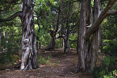 Similar image 21026264