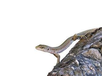 Similar image 21026378