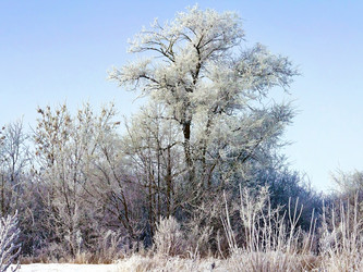 Similar image 21026037