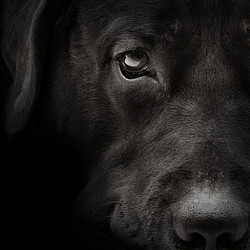 Similar image 21026048