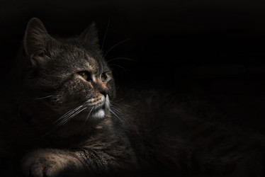 Similar image 21026053