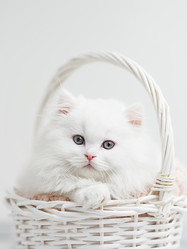 Similar image 21026274