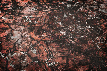 Similar image 21026280