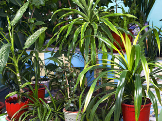 Similar image 21026518