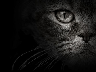 Similar image 21026525