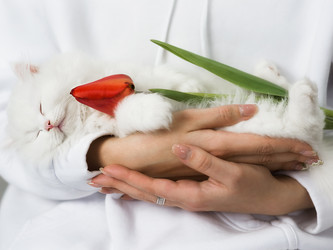 Similar image 21026533