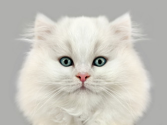 Similar image 21026065