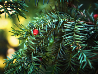 Similar image 21026227