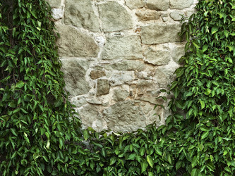 Similar image 21026230