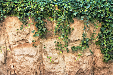 Similar image 21026233