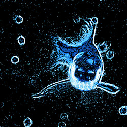 Similar image 21026407