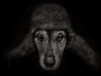 Similar image 21026539