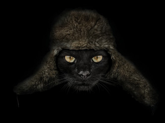 Similar image 21026540