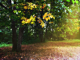 Similar image 21026541