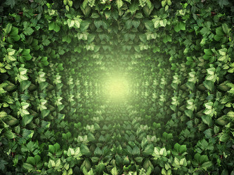 Similar image 21026550